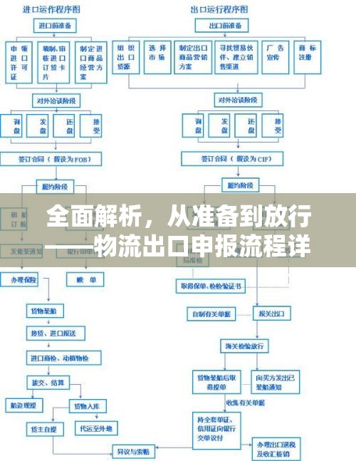 全面解析，從準(zhǔn)備到放行——物流出口申報(bào)流程詳解
