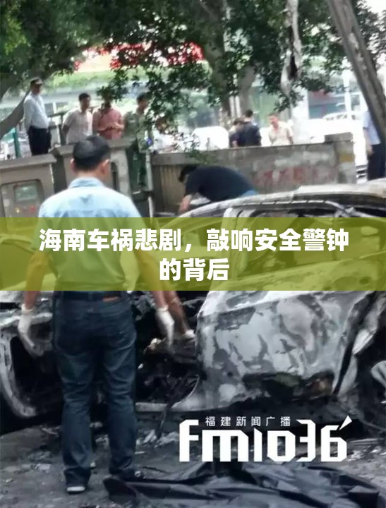 海南車禍悲劇，敲響安全警鐘的背后
