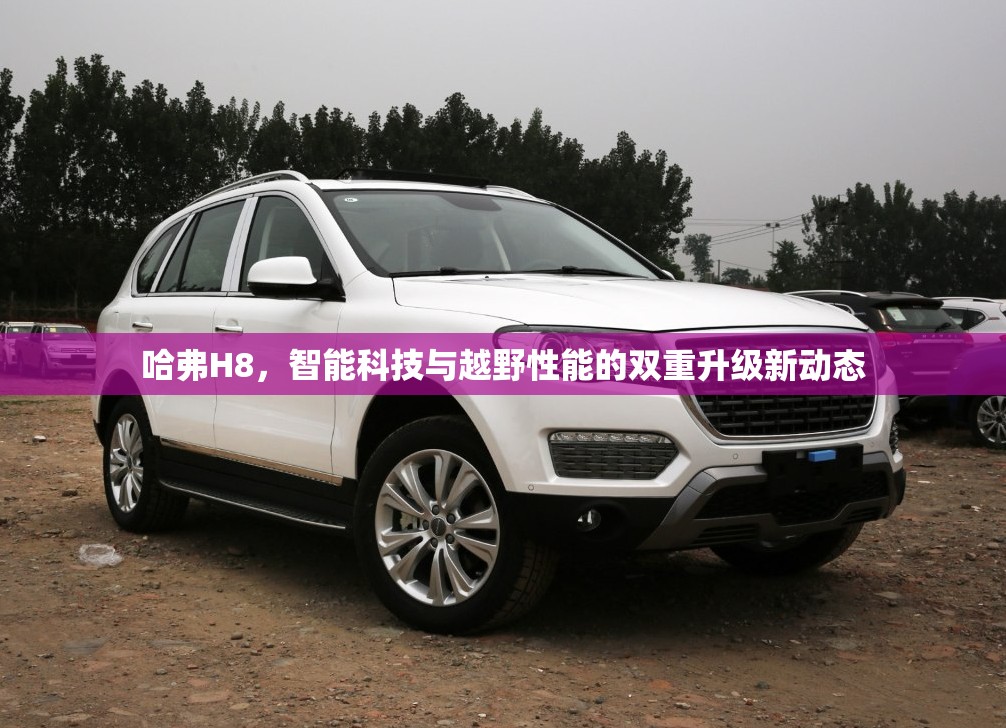 哈弗H8，智能科技與越野性能的雙重升級(jí)新動(dòng)態(tài)
