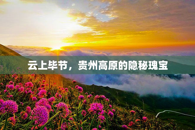 云上畢節(jié)，貴州高原的隱秘瑰寶