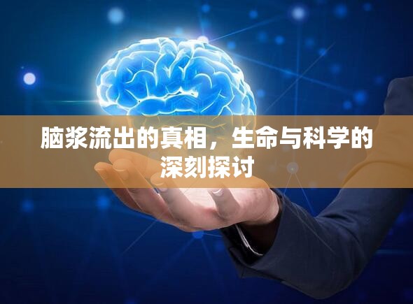 腦漿流出的真相，生命與科學的深刻探討