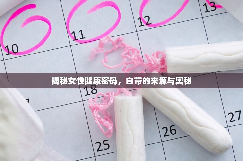 揭秘女性健康密碼，白帶的來源與奧秘
