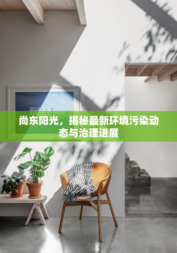 尚東陽光，揭秘最新環(huán)境污染動(dòng)態(tài)與治理進(jìn)展
