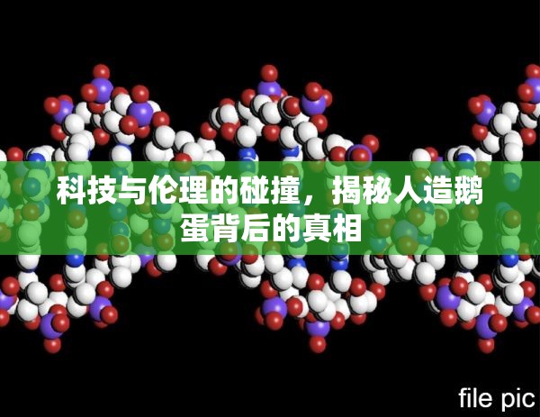 科技與倫理的碰撞，揭秘人造鵝蛋背后的真相