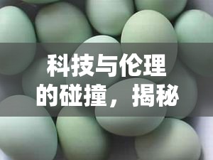 科技與倫理的碰撞，揭秘人造鵝蛋背后的真相