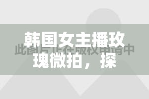 韓國女主播玫瑰微拍，探索網(wǎng)絡直播新風尚的魅力