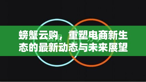 螃蟹云購，重塑電商新生態(tài)的最新動態(tài)與未來展望
