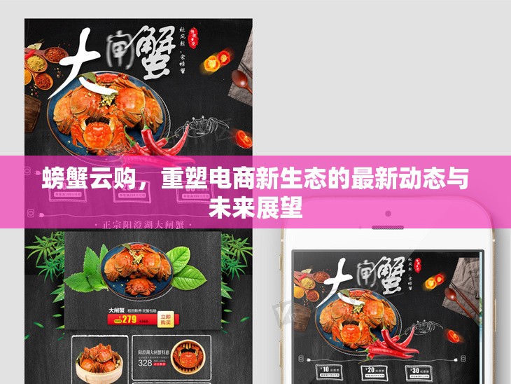 螃蟹云購，重塑電商新生態(tài)的最新動態(tài)與未來展望