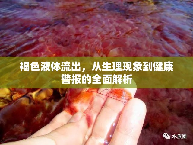 褐色液體流出，從生理現(xiàn)象到健康警報的全面解析