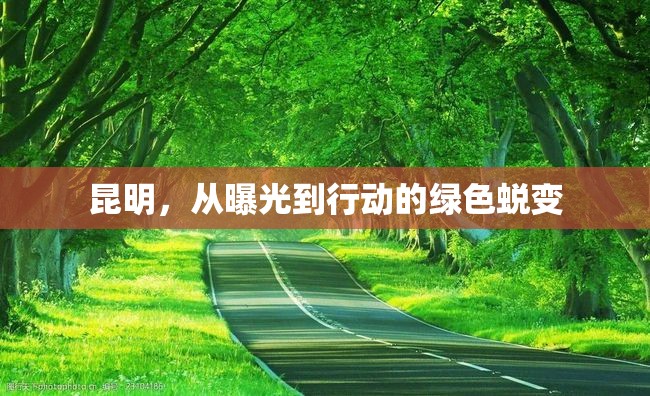 昆明，從曝光到行動的綠色蛻變