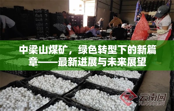 中梁山煤礦，綠色轉(zhuǎn)型下的新篇章——最新進(jìn)展與未來展望