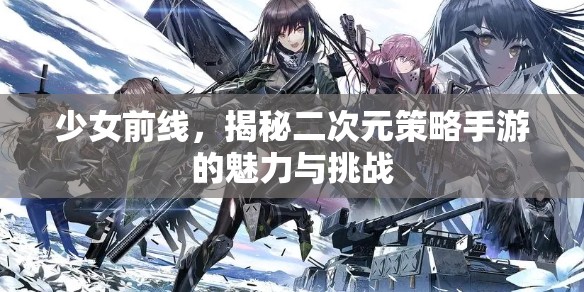 少女前線，揭秘二次元策略手游的魅力與挑戰(zhàn)