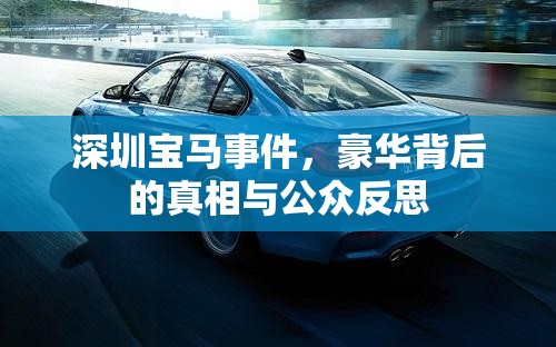 深圳寶馬事件，豪華背后的真相與公眾反思