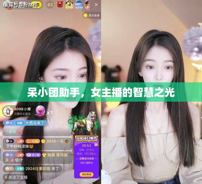 呆小團(tuán)助手，女主播的智慧之光