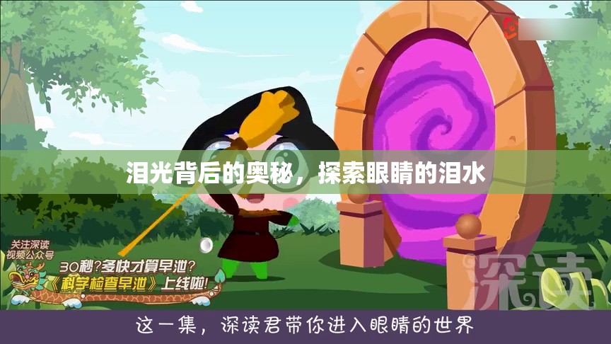 淚光背后的奧秘，探索眼睛的淚水