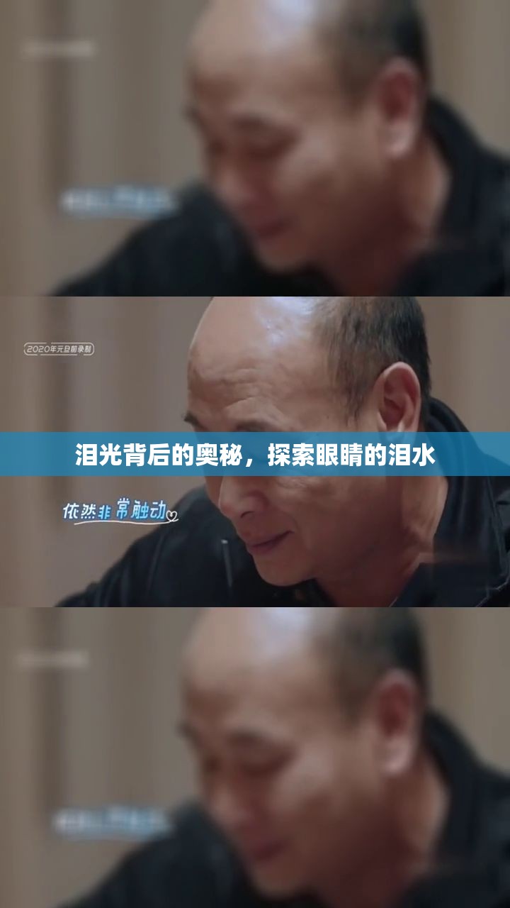 淚光背后的奧秘，探索眼睛的淚水