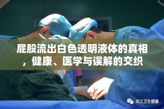屁股流出白色透明液體的真相，健康、醫(yī)學(xué)與誤解的交織