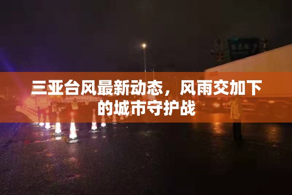 三亞臺風最新動態(tài)，風雨交加下的城市守護戰(zhàn)