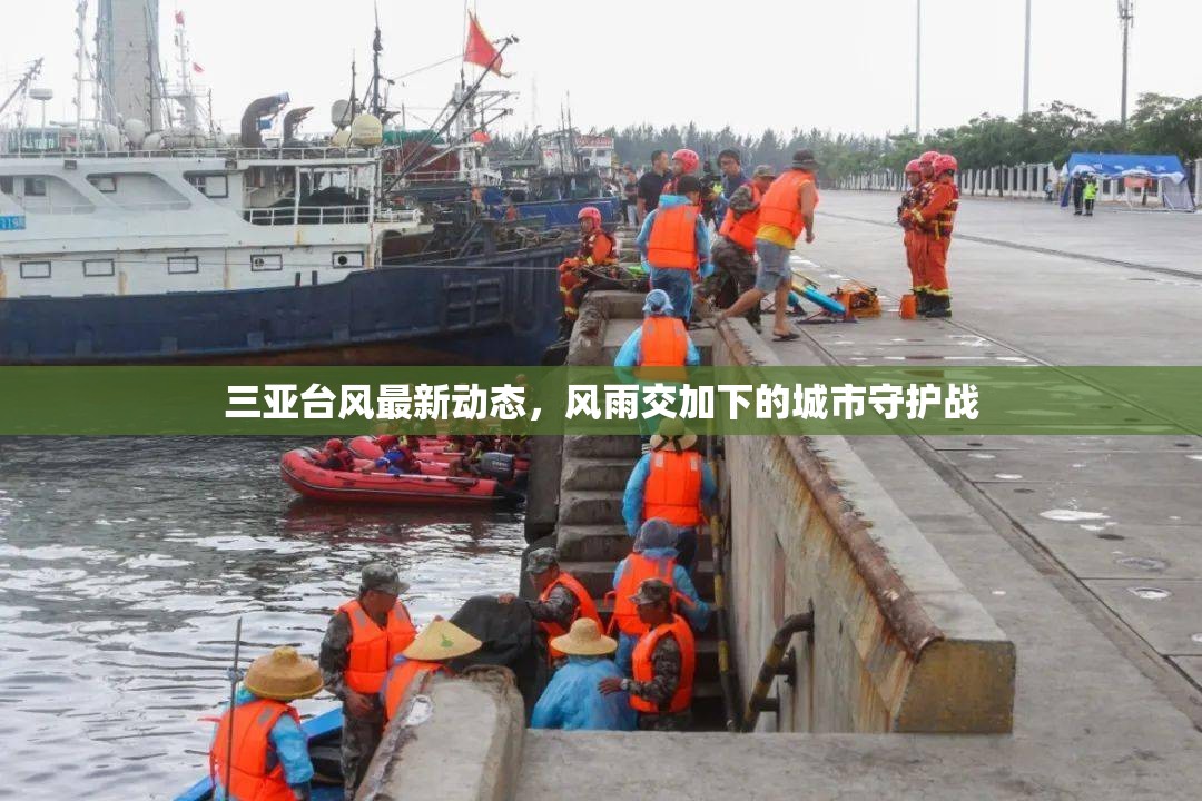 三亞臺風最新動態(tài)，風雨交加下的城市守護戰(zhàn)