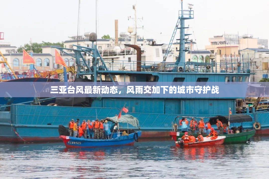 三亞臺風最新動態(tài)，風雨交加下的城市守護戰(zhàn)
