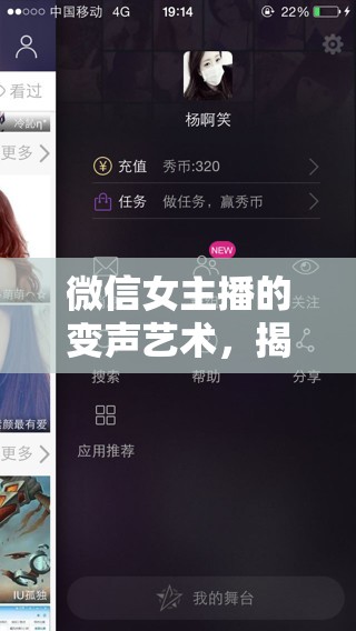 微信女主播的變聲藝術(shù)，揭秘變聲軟件下載的魅力與風(fēng)險(xiǎn)