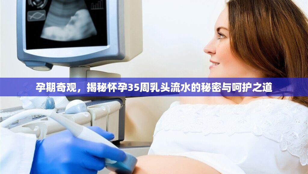 孕期奇觀，揭秘懷孕35周乳頭流水的秘密與呵護(hù)之道