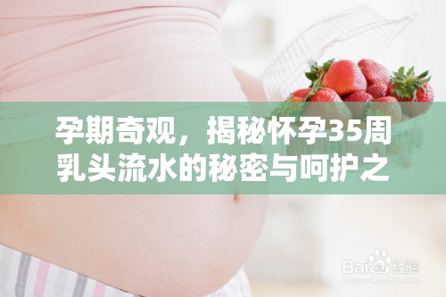 孕期奇觀，揭秘懷孕35周乳頭流水的秘密與呵護(hù)之道