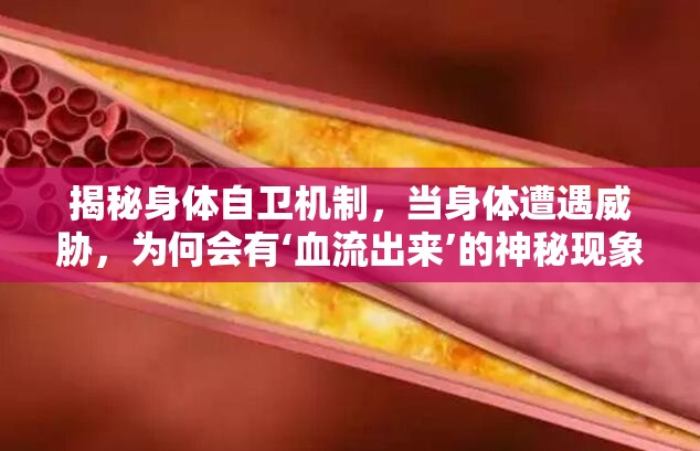 揭秘身體自衛(wèi)機(jī)制，當(dāng)身體遭遇威脅，為何會有‘血流出來’的神秘現(xiàn)象？