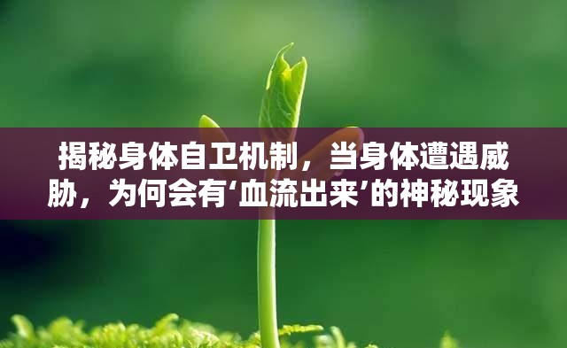 揭秘身體自衛(wèi)機(jī)制，當(dāng)身體遭遇威脅，為何會有‘血流出來’的神秘現(xiàn)象？