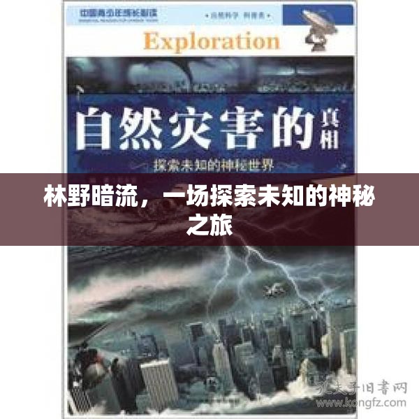 林野暗流，一場(chǎng)探索未知的神秘之旅