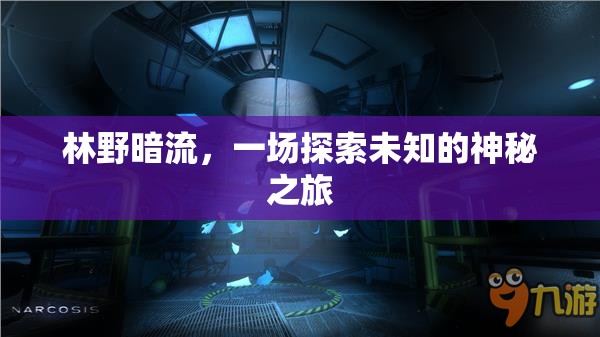林野暗流，一場(chǎng)探索未知的神秘之旅