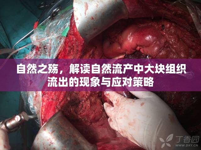 自然之殤，解讀自然流產(chǎn)中大塊組織流出的現(xiàn)象與應(yīng)對(duì)策略