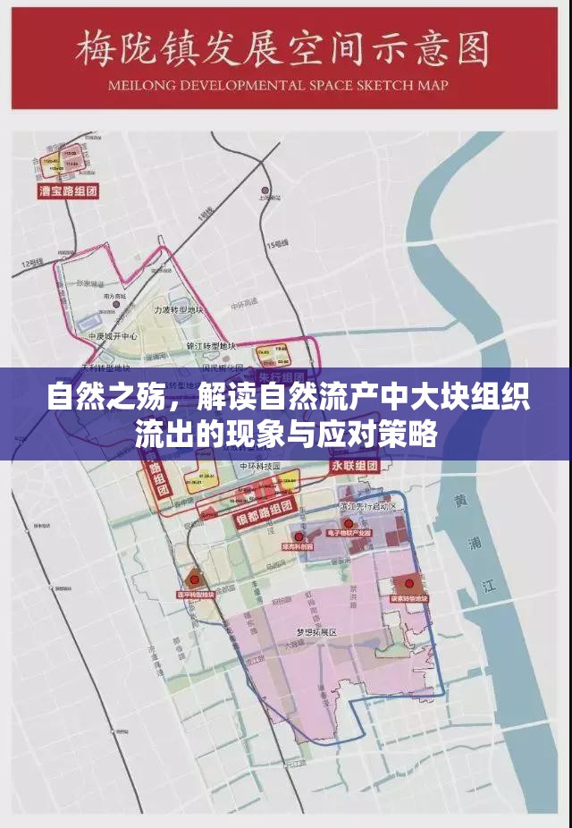 自然之殤，解讀自然流產(chǎn)中大塊組織流出的現(xiàn)象與應(yīng)對(duì)策略