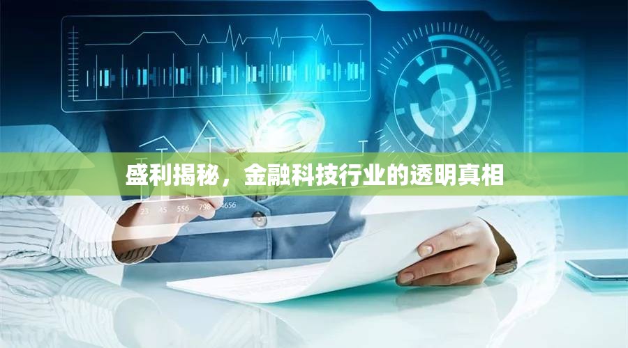 盛利揭秘，金融科技行業(yè)的透明真相