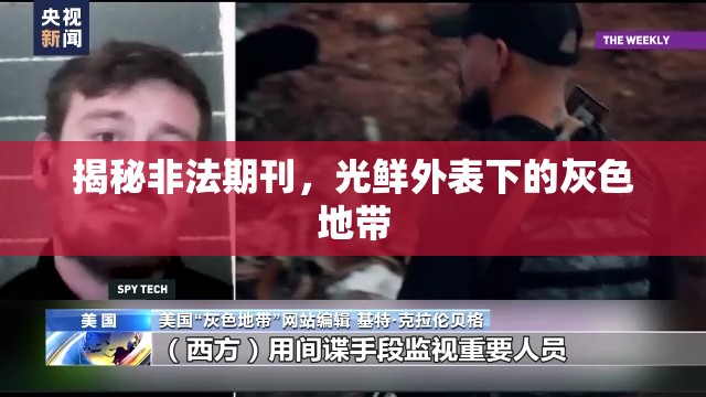 揭秘非法期刊，光鮮外表下的灰色地帶