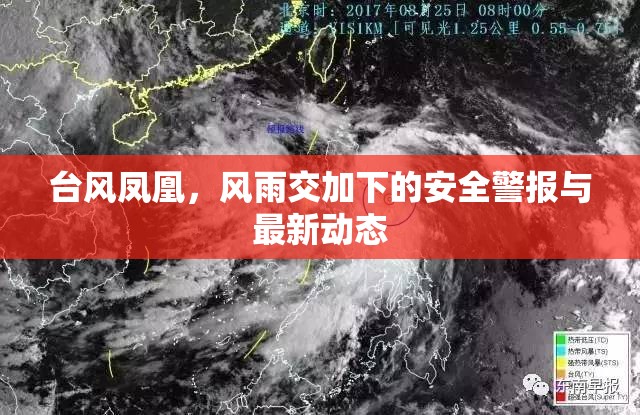 臺風(fēng)鳳凰，風(fēng)雨交加下的安全警報與最新動態(tài)