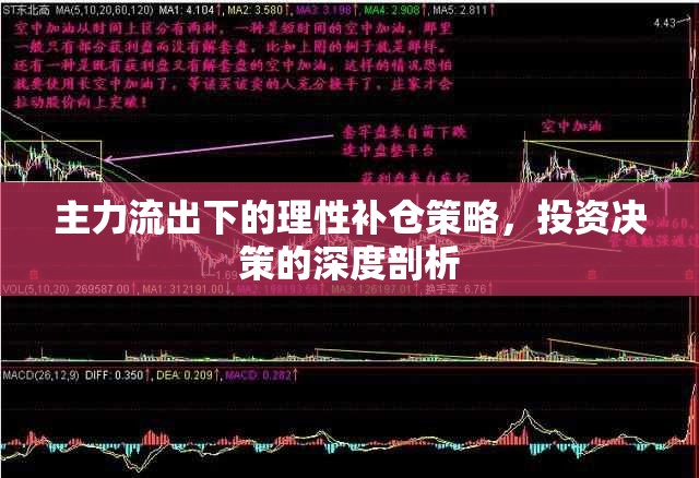 主力流出下的理性補(bǔ)倉策略，投資決策的深度剖析