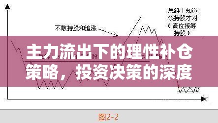 主力流出下的理性補(bǔ)倉策略，投資決策的深度剖析