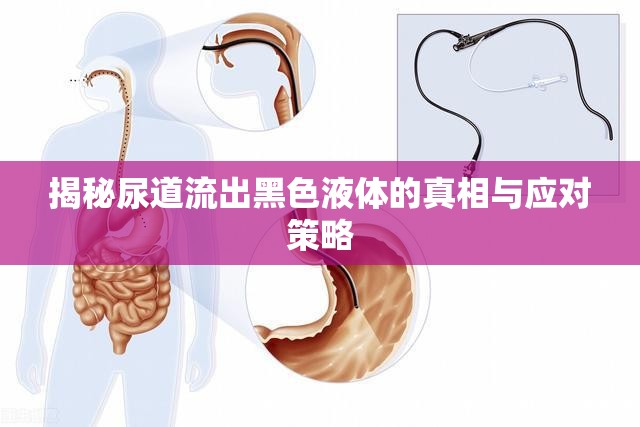 揭秘尿道流出黑色液體的真相與應對策略