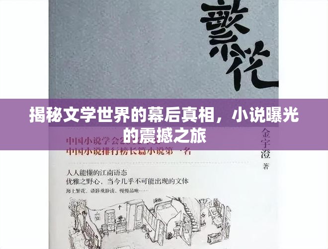揭秘文學(xué)世界的幕后真相，小說曝光的震撼之旅