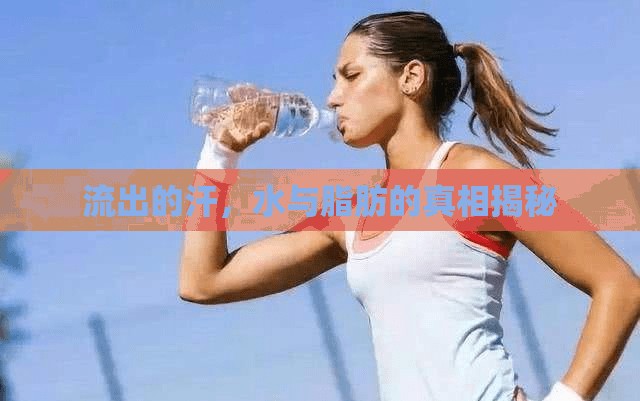 流出的汗，水與脂肪的真相揭秘