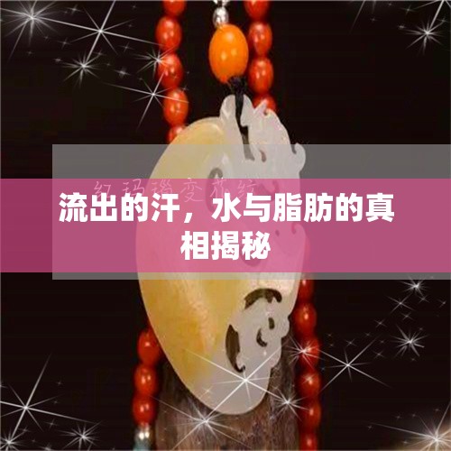 流出的汗，水與脂肪的真相揭秘