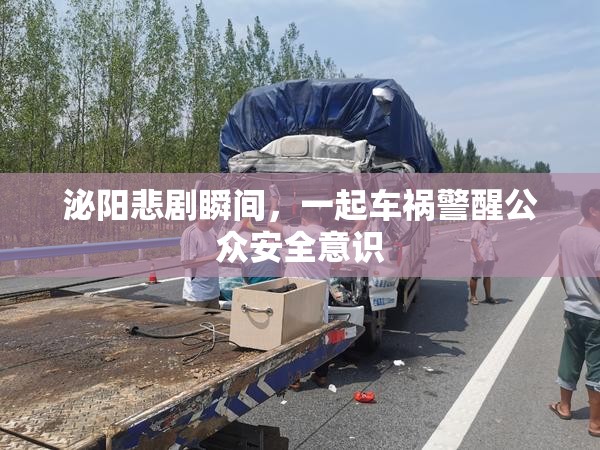 泌陽悲劇瞬間，一起車禍警醒公眾安全意識