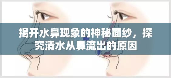揭開水鼻現(xiàn)象的神秘面紗，探究清水從鼻流出的原因