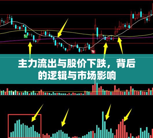 主力流出與股價下跌，背后的邏輯與市場影響