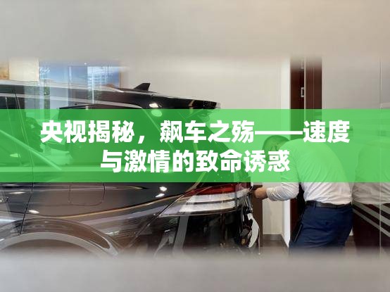 央視揭秘，飆車之殤——速度與激情的致命誘惑