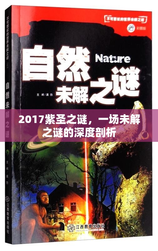 2017紫圣之謎，一場未解之謎的深度剖析