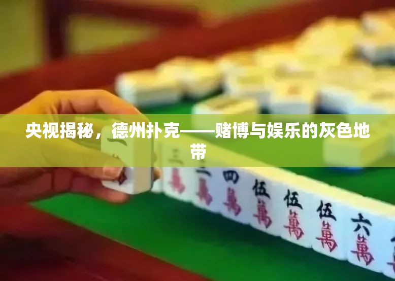 央視揭秘，德州撲克——賭博與娛樂的灰色地帶