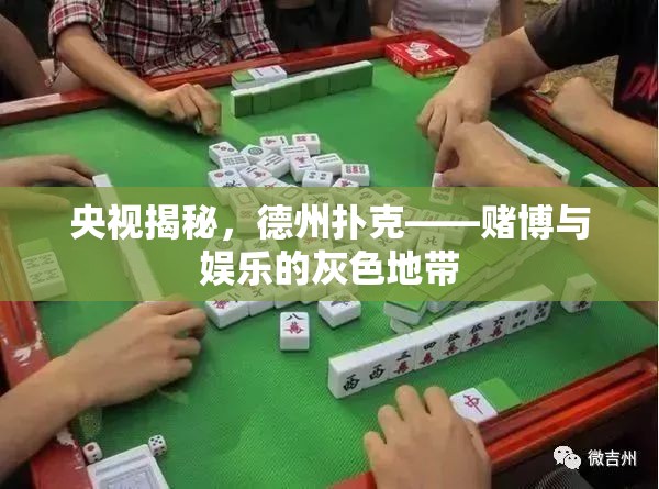 央視揭秘，德州撲克——賭博與娛樂的灰色地帶