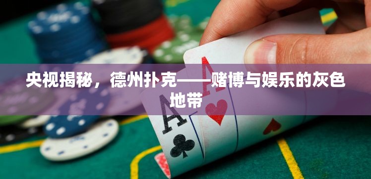 央視揭秘，德州撲克——賭博與娛樂的灰色地帶